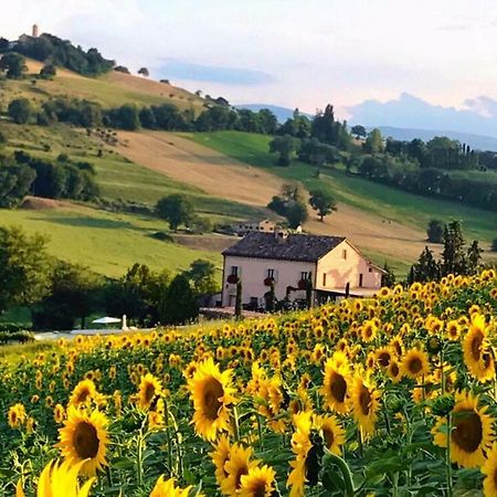 Casale Delle Rondini Bed & Breakfast Tolentino Dış mekan fotoğraf