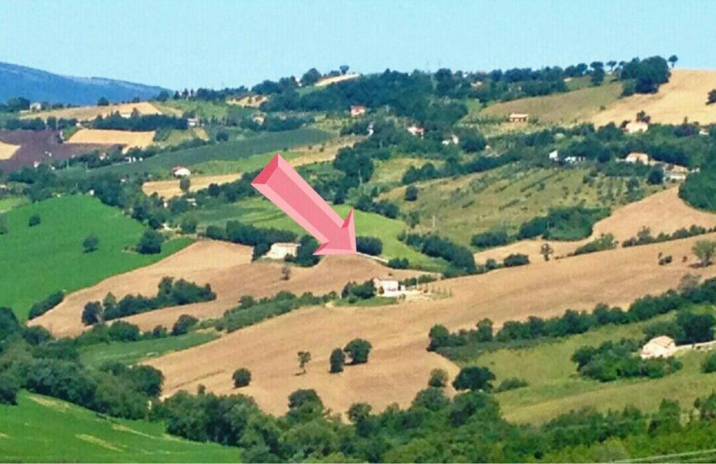 Casale Delle Rondini Bed & Breakfast Tolentino Dış mekan fotoğraf