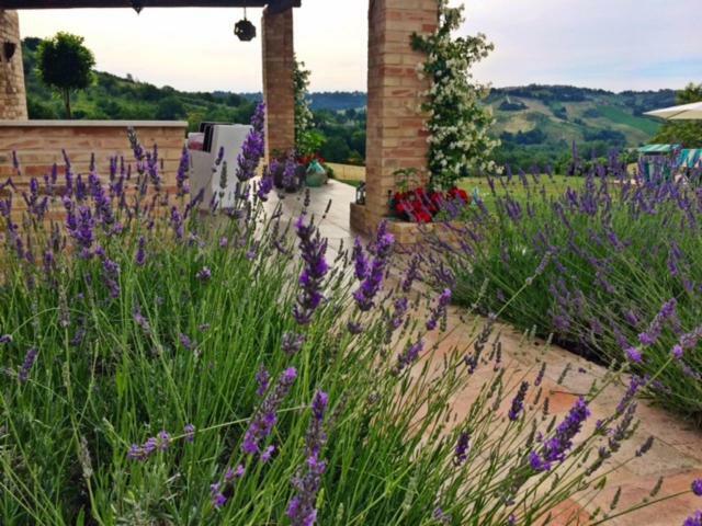 Casale Delle Rondini Bed & Breakfast Tolentino Dış mekan fotoğraf