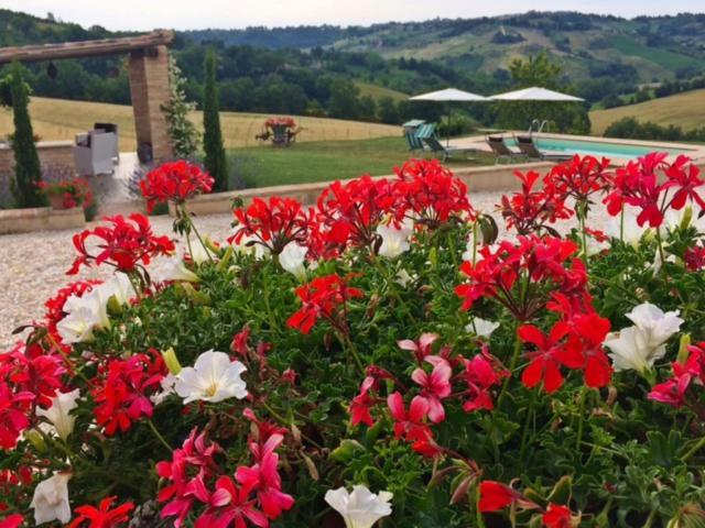 Casale Delle Rondini Bed & Breakfast Tolentino Dış mekan fotoğraf