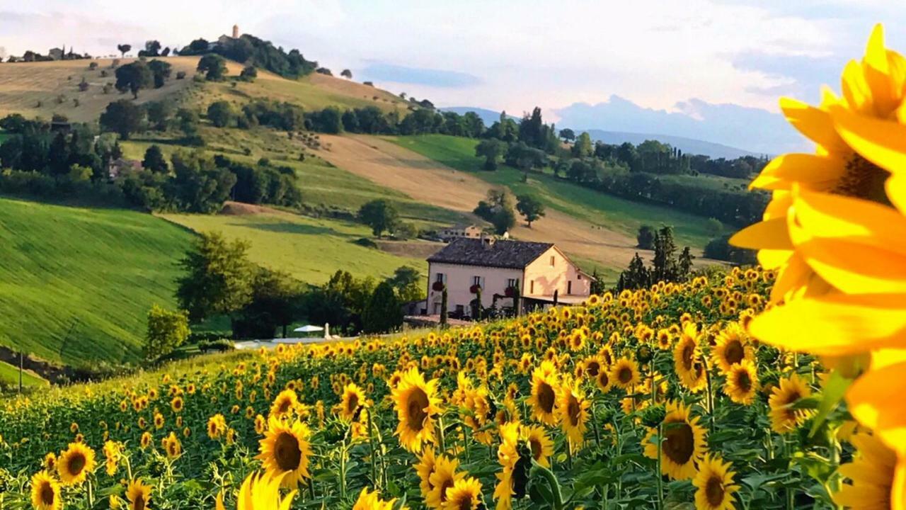 Casale Delle Rondini Bed & Breakfast Tolentino Dış mekan fotoğraf